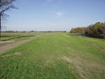 SCHODNIA_-_WAL_2014_11_05_4