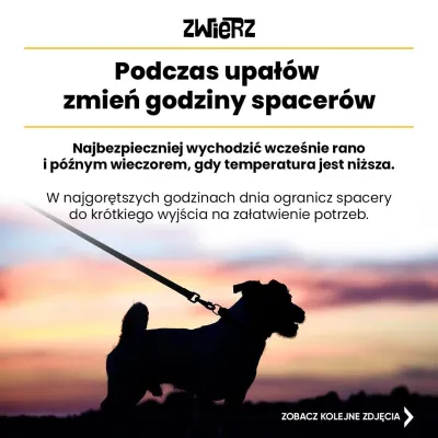 Fundacja ZWIERZ plakat