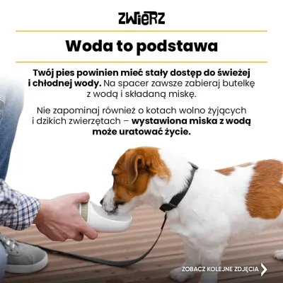 Fundacja ZWIERZ plakat