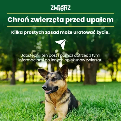 Fundacja ZWIERZ plakat