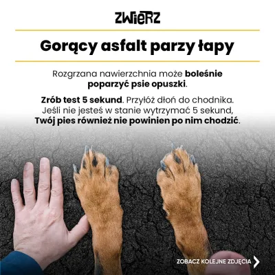 Fundacja ZWIERZ plakat