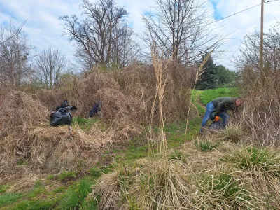 Sprzątanie w Jedlicach