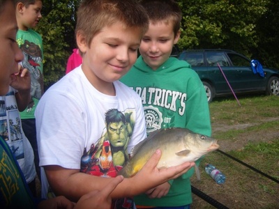 Wokół stawu - lekcja ekologii 