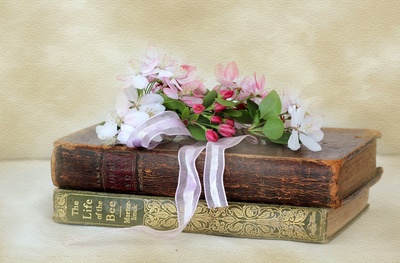Życzenia z okazji Dnia Bibliotekarza i Bibliotek