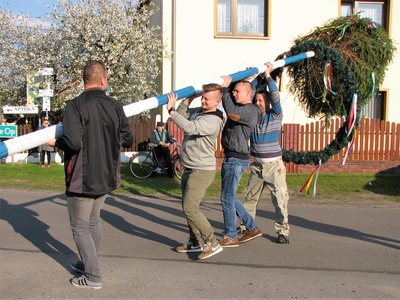 ?Majowe drzewko? w Krzyżowej Dolinie postawiono w tym roku po raz dziesiąty.