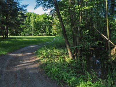 Jedlice - Dylaki - czerwony szlak rowerowy