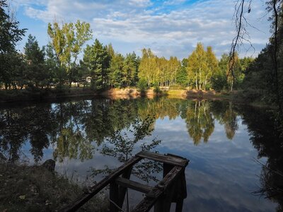 Biestrzynnik-Poliwoda, stawy