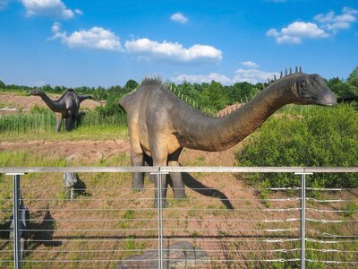 09 - Jura Park Krasiej%%C3%%B3w - diplodoki