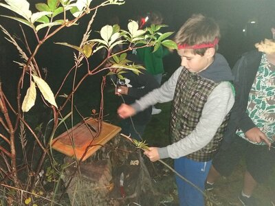 IMG_20210917_204317381