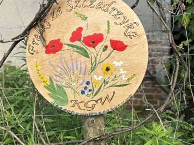 448077325 321339064348071 4916912933170239872 n