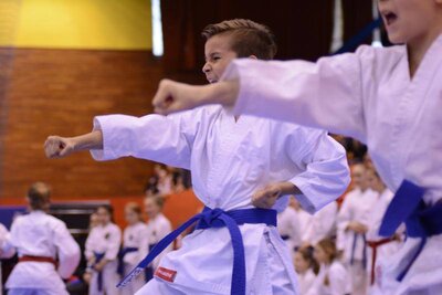 Zawodnik prezentujący kata