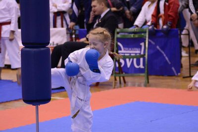 technika mawashi geri na fantom