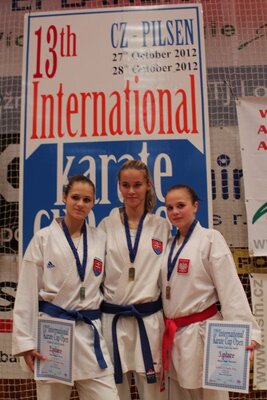 579124_481779715199802_255680418_n