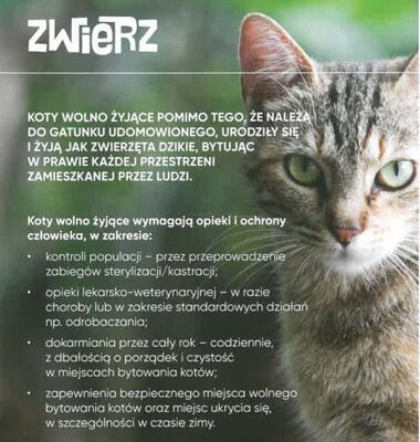 Rusza akcja bezpłatnej sterylizacji / kastracji zwierząt