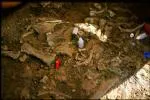 Stanowisko_paleontologiczne_w_Krasiejowie