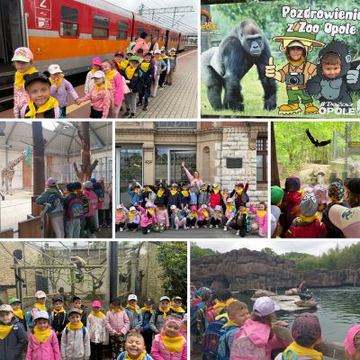 Starszaki na wycieczce w opolskim zoo